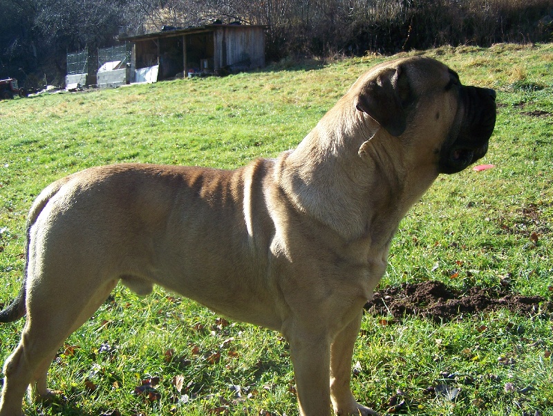 Best of (Sans Affixe)