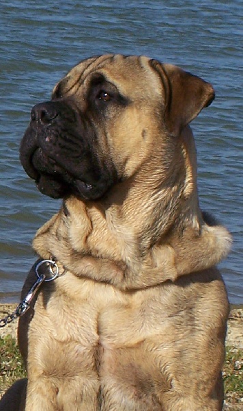 Best of (Sans Affixe)