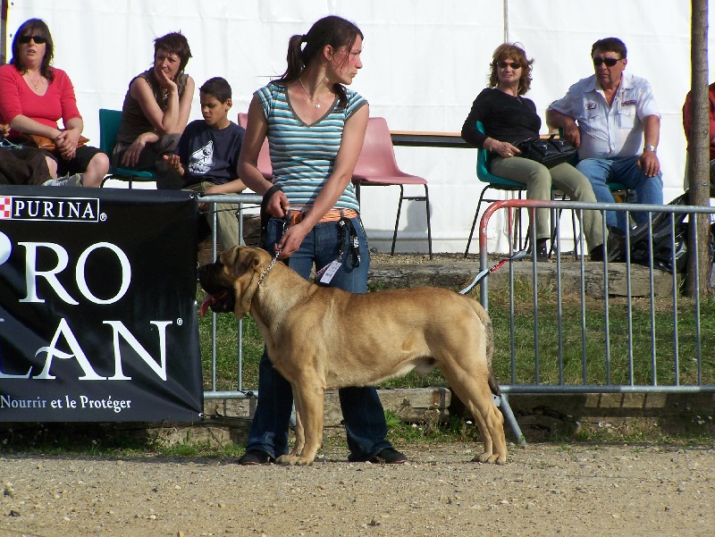 Best of (Sans Affixe)