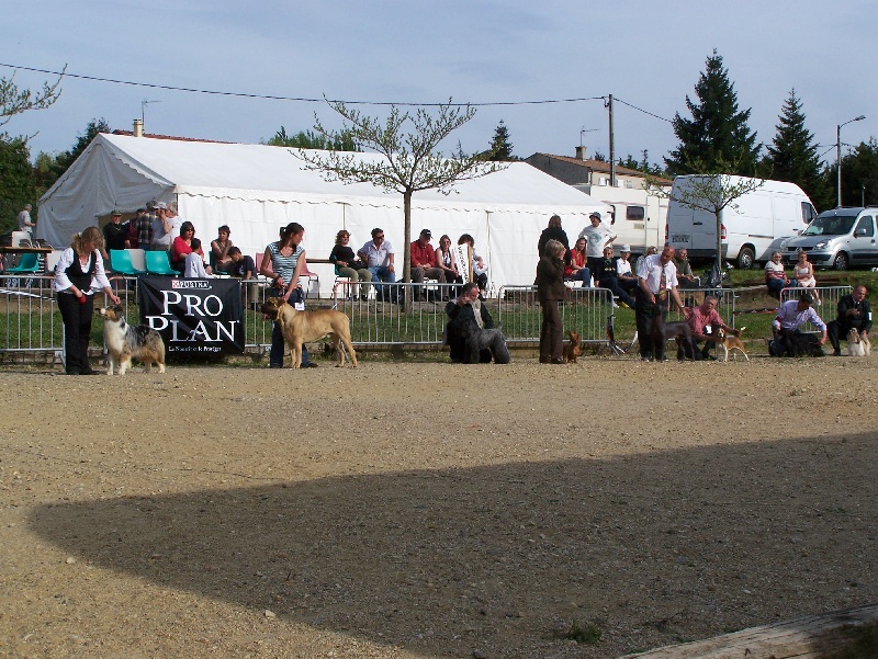 Best of (Sans Affixe)