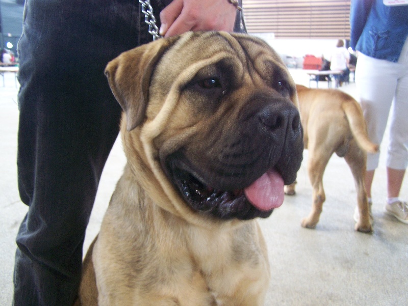 Best of (Sans Affixe)