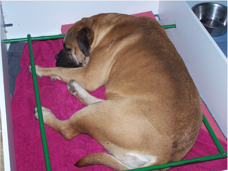 Victoires Des roses noires aux portes du morvan