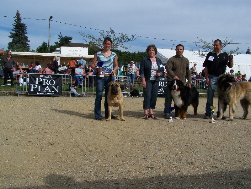 Best of (Sans Affixe)