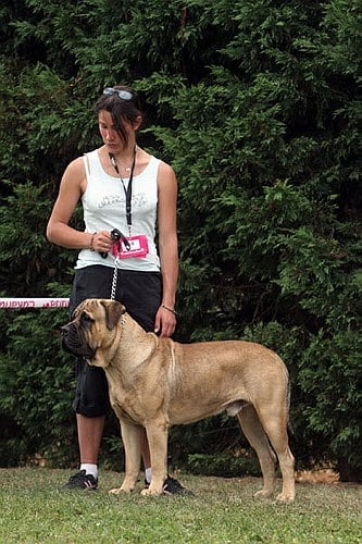 Best of (Sans Affixe)