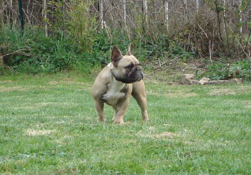 Publication : de l'Empreinte de Cabal Auteur : L'Empreinte de Cabal