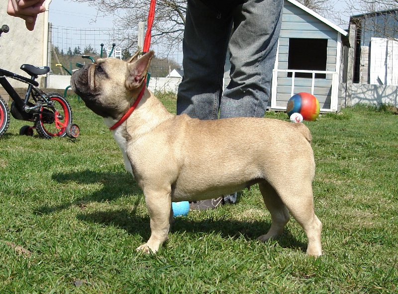 Publication : de l'Empreinte de Cabal Auteur : L'Empreinte de Cabal