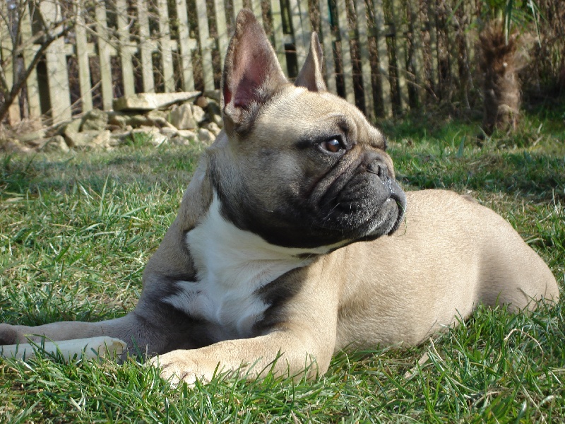 Publication : de l'Empreinte de Cabal Auteur : L'Empreinte de Cabal