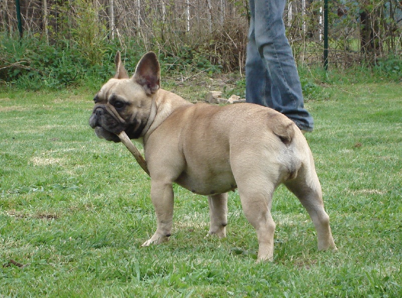 Publication : de l'Empreinte de Cabal Auteur : L'Empreinte de Cabal