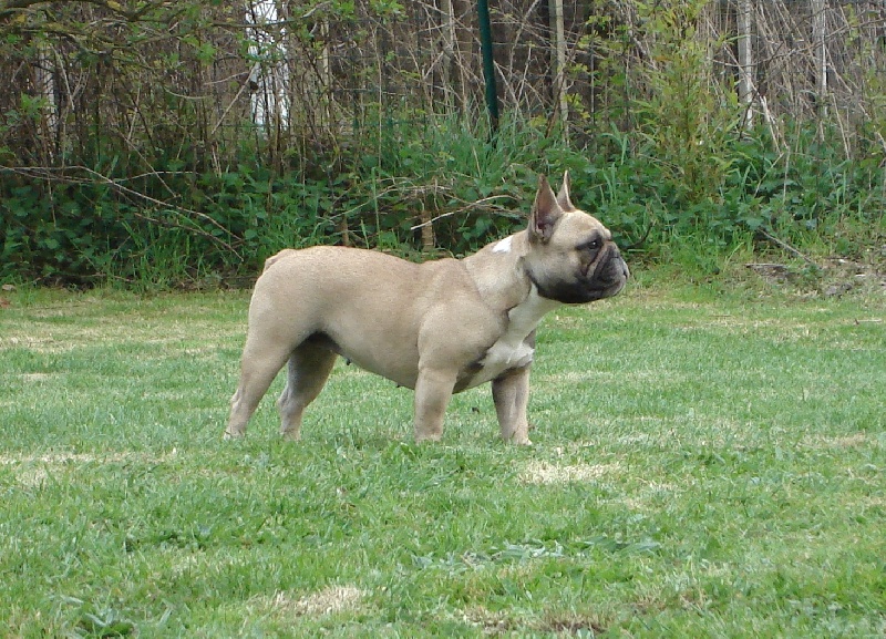 Publication : de l'Empreinte de Cabal Auteur : L'Empreinte de Cabal