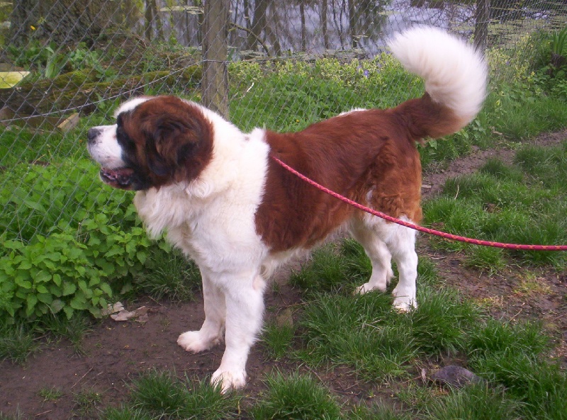 Publication : (Sans Affixe)