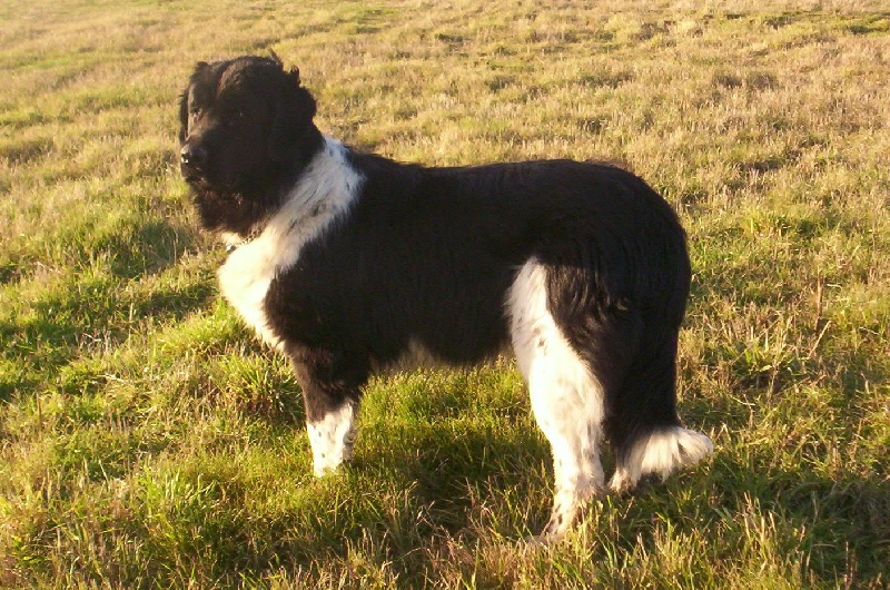 Publication : (Sans Affixe)