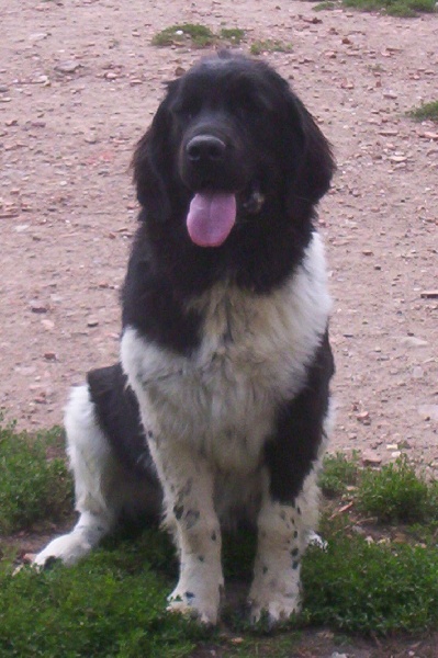 Publication : (Sans Affixe)