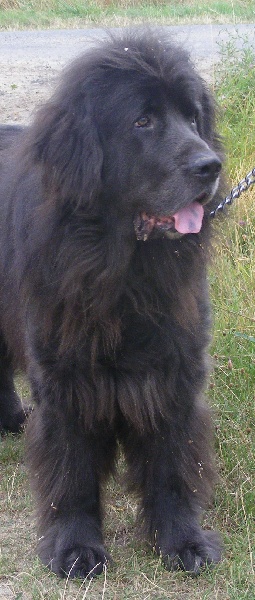 Publication : (Sans Affixe)