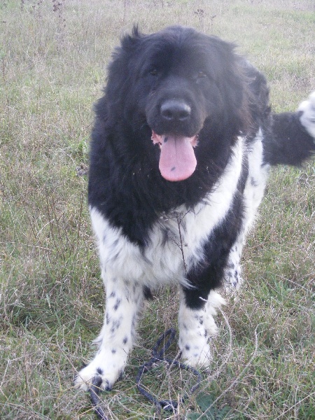 Publication : (Sans Affixe)