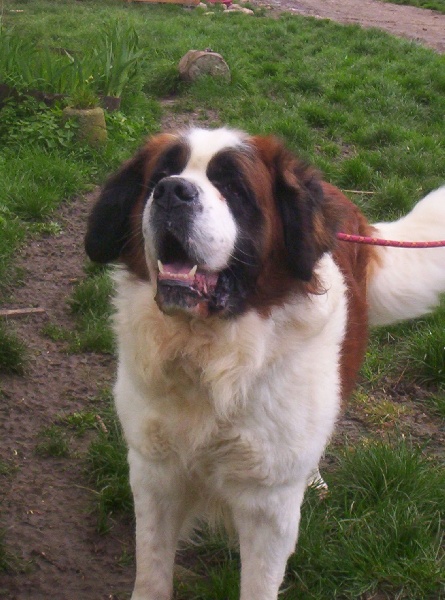 Publication : (Sans Affixe)