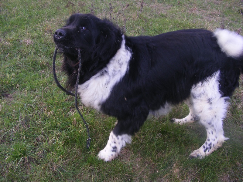 Publication : (Sans Affixe)