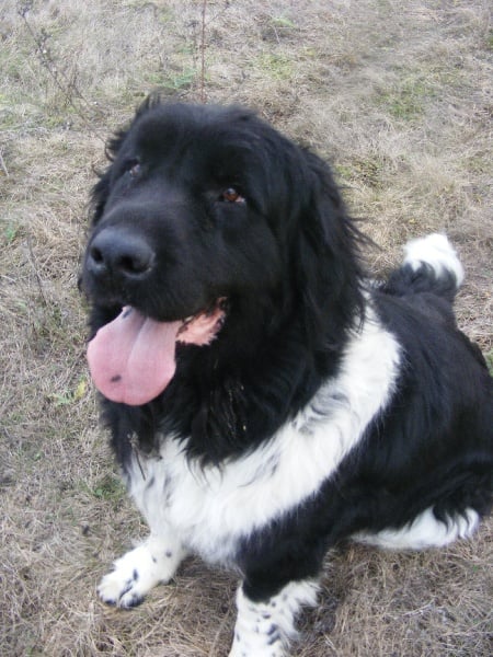 Publication : (Sans Affixe)