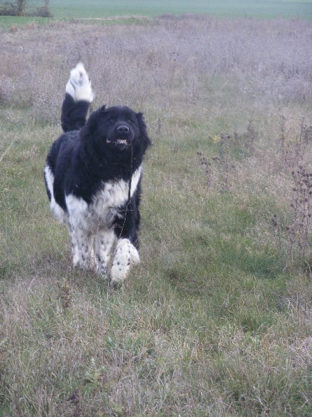 Publication : (Sans Affixe)