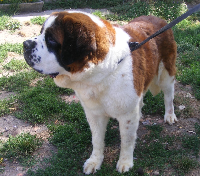 Publication : (Sans Affixe)