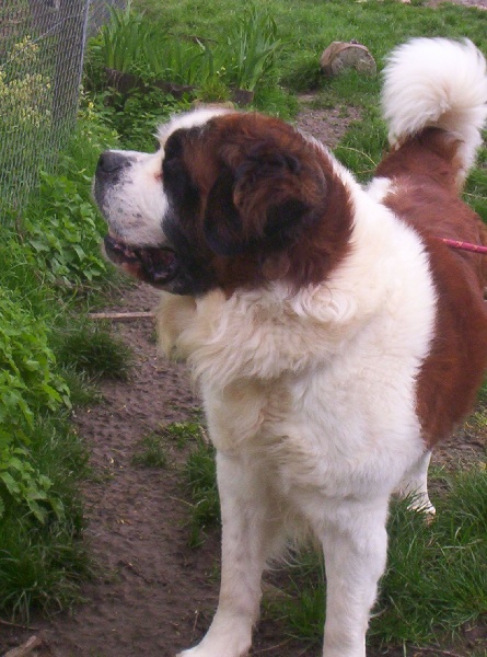 Publication : (Sans Affixe)