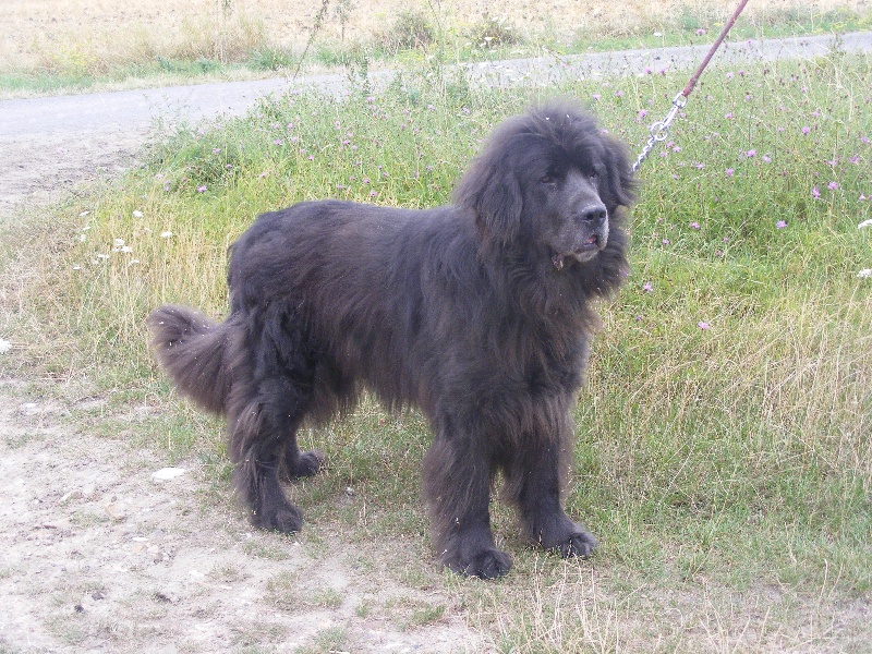 Publication : (Sans Affixe)