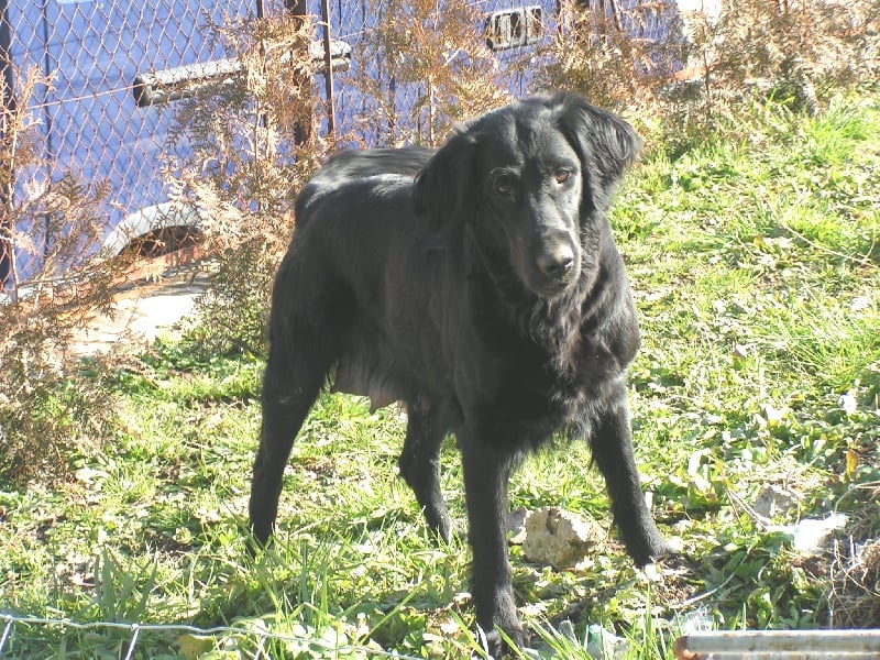 Publication : de la source aux Elfes