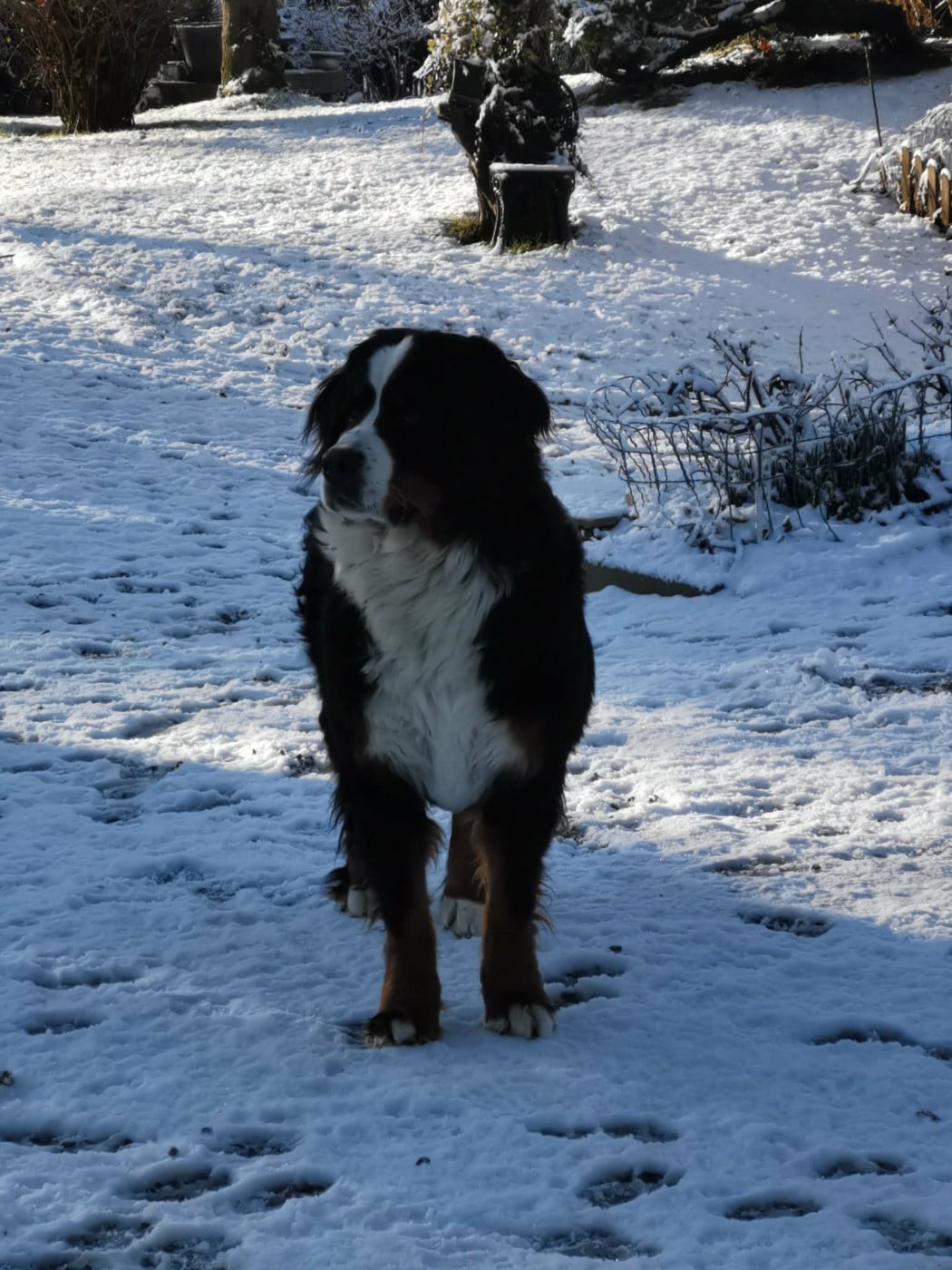 Publication : de Belle de Fontenelle