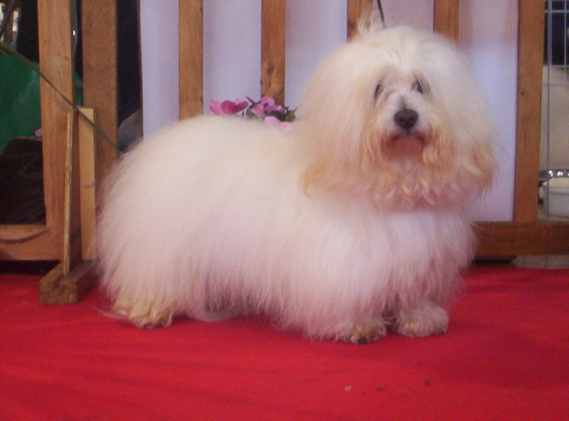 Publication : du Paradis des Anges Blancs