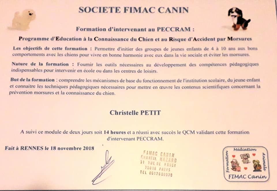 Accueil Elevage Canin Du Savage Garden Eleveur De Chiens