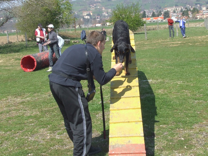 Publication : des Ames Soeurs Auteur : Galio nathalie