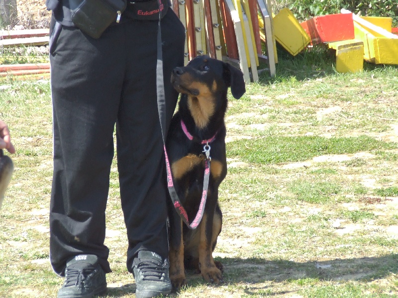 Publication : des Ames Soeurs Auteur : Galio nathalie