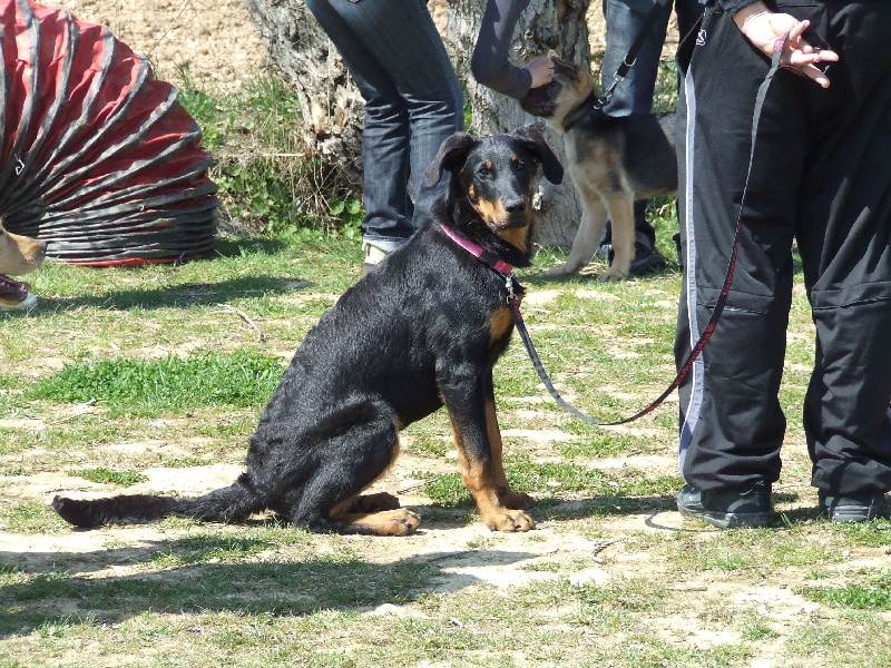 Publication : des Ames Soeurs Auteur : Galio nathalie