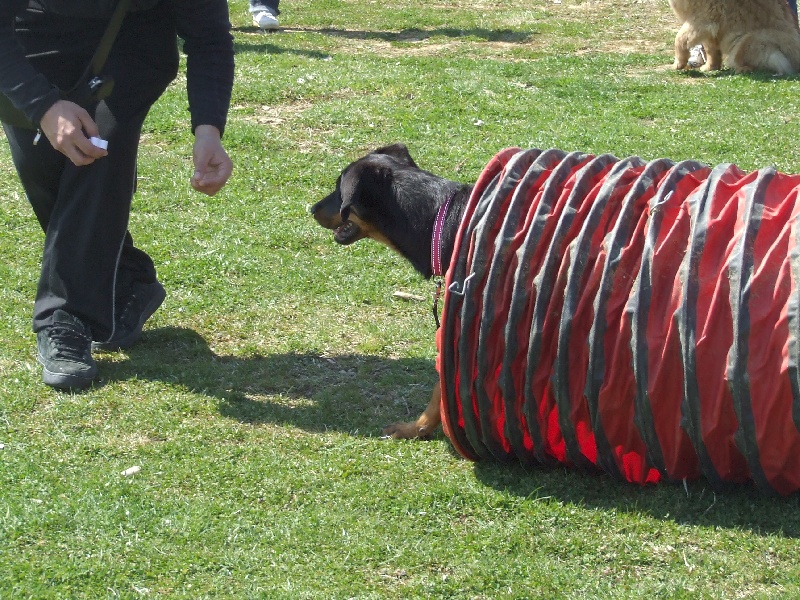 Publication : des Ames Soeurs Auteur : Galio nathalie