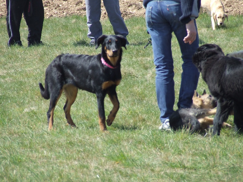 Publication : des Ames Soeurs Auteur : Galio nathalie