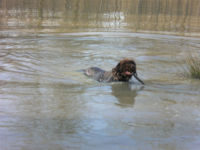 Publication : du domaine des souches Auteur : Martine Petat,sa maitresse