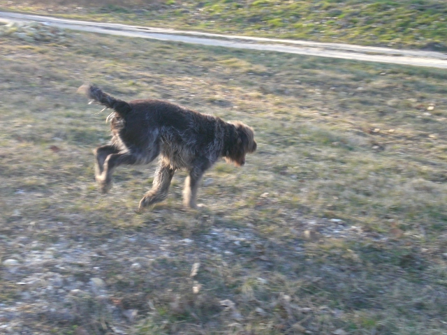 Publication : du domaine des souches Auteur : Martine Petat,sa maitresse