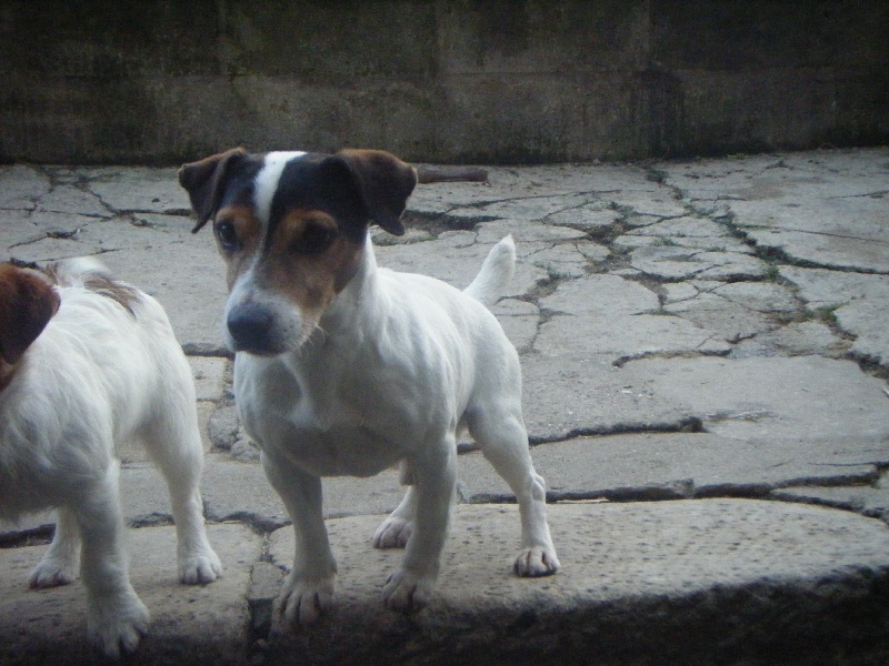Publication : de la Tourbière du Loup