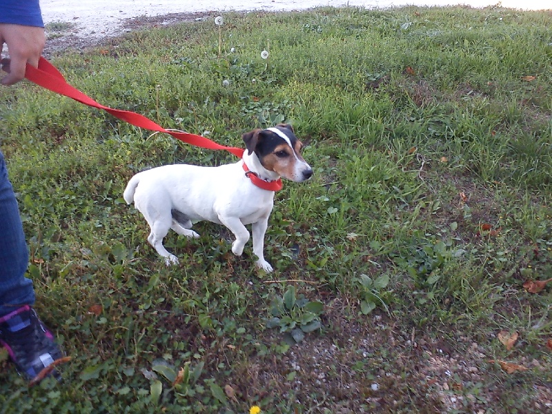 Publication : de la Tourbière du Loup