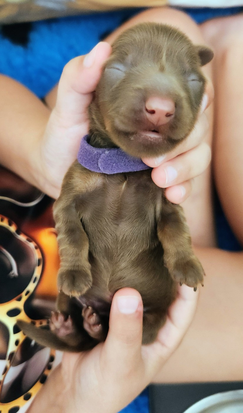 Bonnie