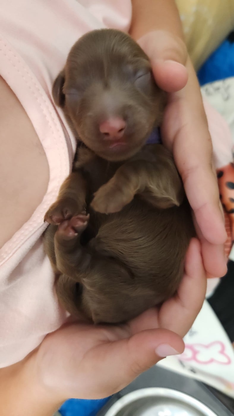 Bonnie