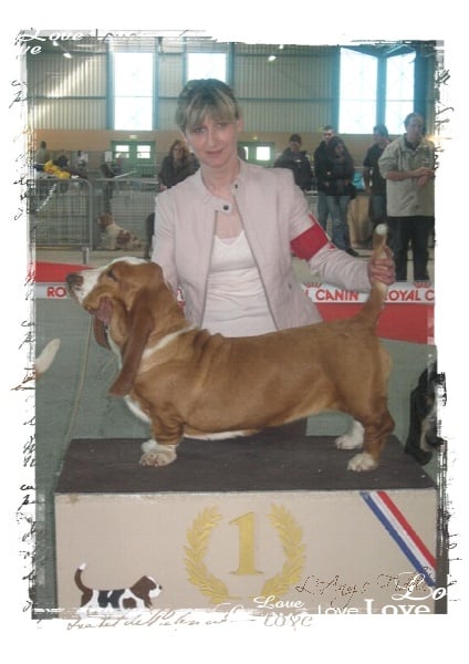 Délice de l'ange fidèle