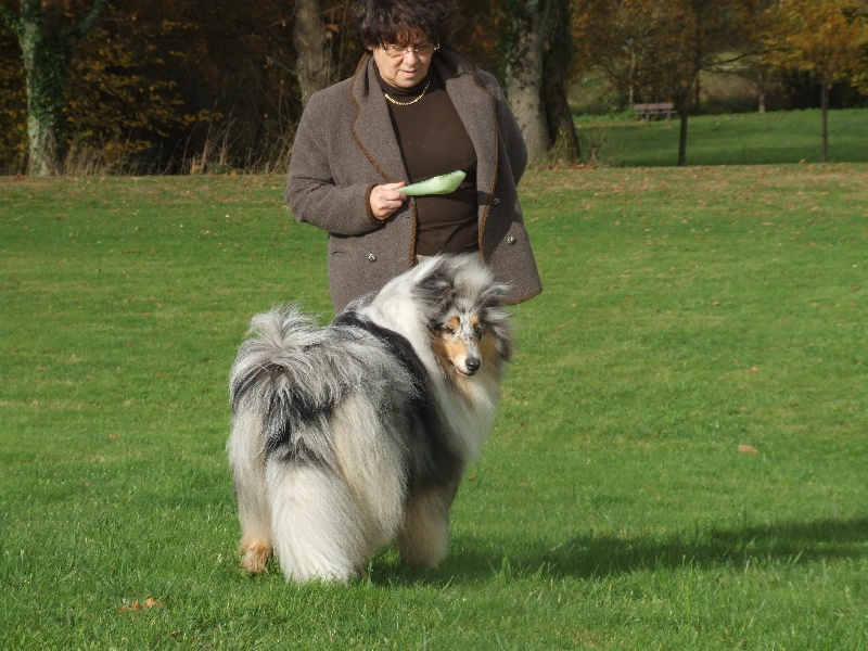 CH. Chanel silver swann de Comborcière