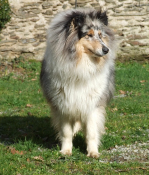 Ines de la fressange de Comborcière