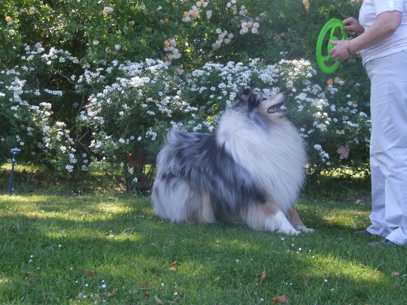 Publication : de Comborcière Auteur : Mireille Quirion ( 19-10-2010 )