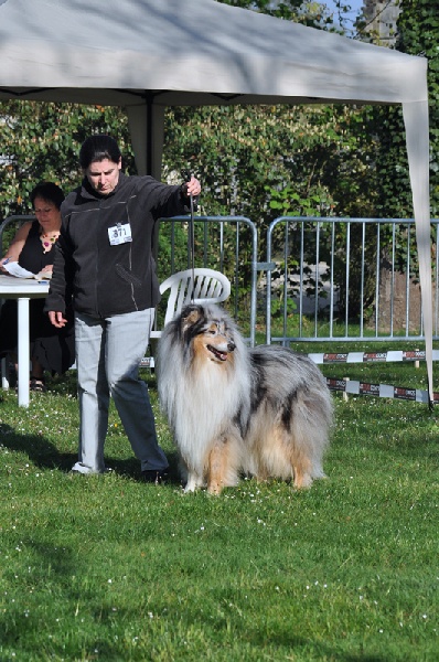 Publication : de Comborcière Auteur : Mireille Quirion ( 19-10-2010 )