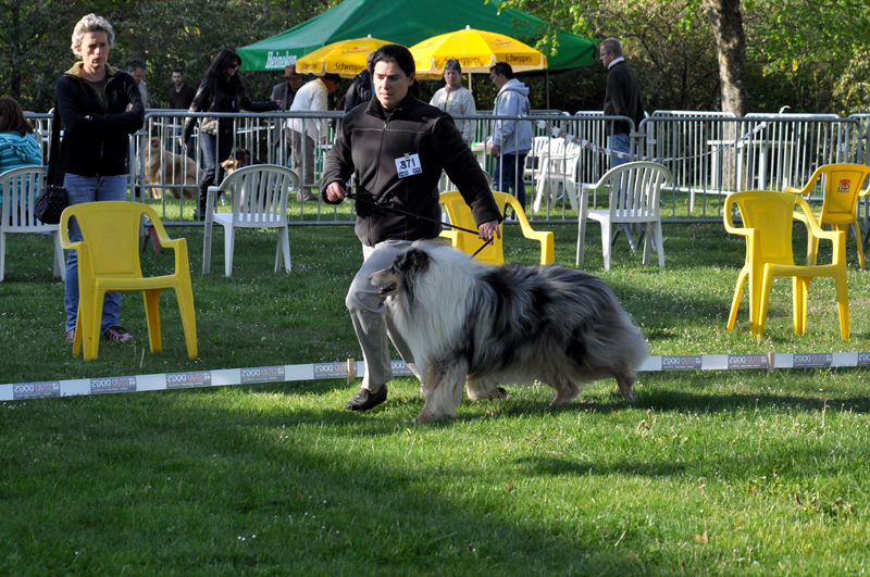 Publication : de Comborcière Auteur : Mireille Quirion ( 19-10-2010 )