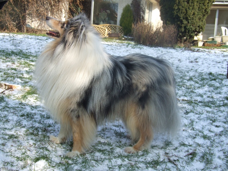 Publication : de Comborcière Auteur : Mireille Quirion ( 19-10-2010 )