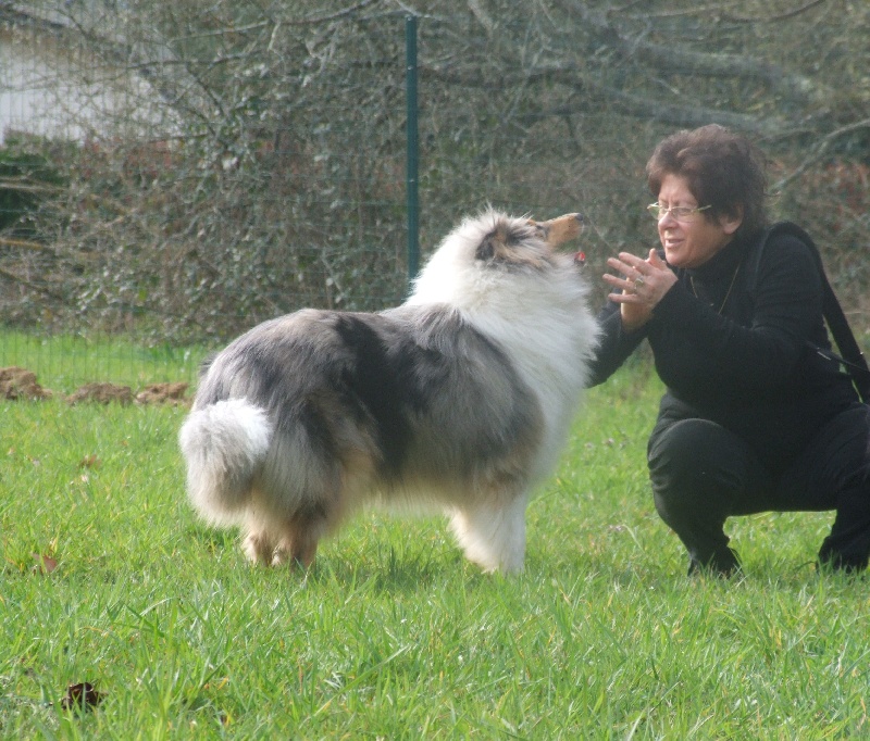 Flores lola de Comborcière
