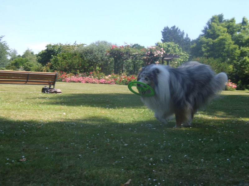 Publication : de Comborcière Auteur : Mireille Quirion ( 19-10-2010 )