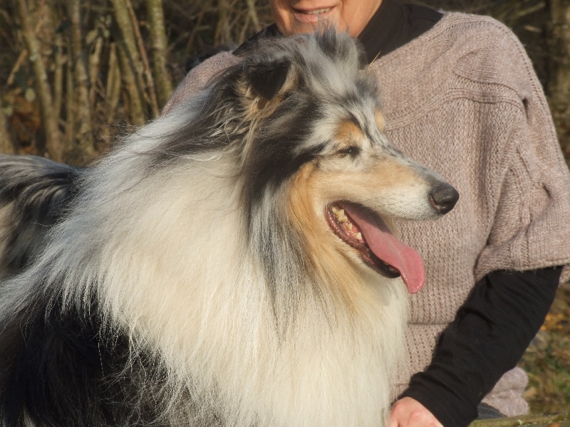 Publication : de Comborcière Auteur : Mireille Quirion ( 19-10-2010 )